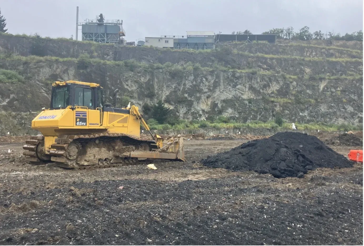 Komatsu D65PX bulldozer operating at the Blackhead Quarries cleanfill site at Logan Point Quarry, with rock cliffs and site buildings in the background.
